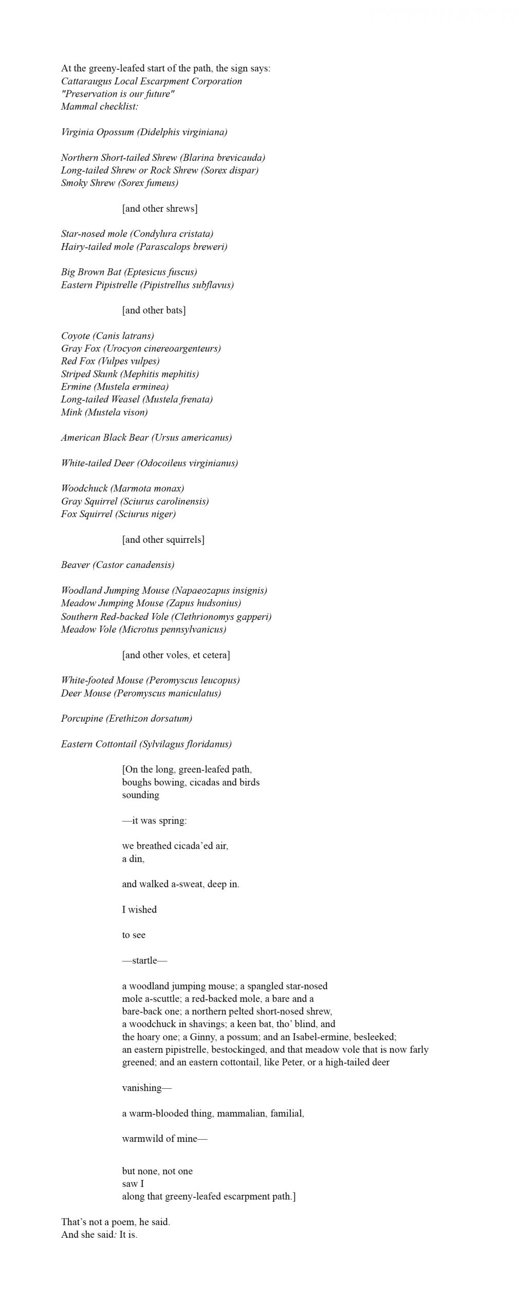 dialogue-mammalia-dawn-promislow-the-scales-project