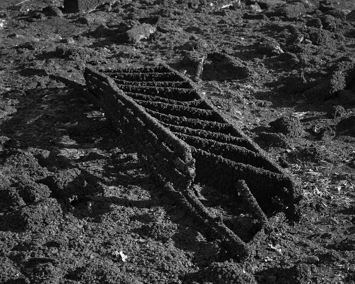 sarah-fuller-ladder-the-scales-project