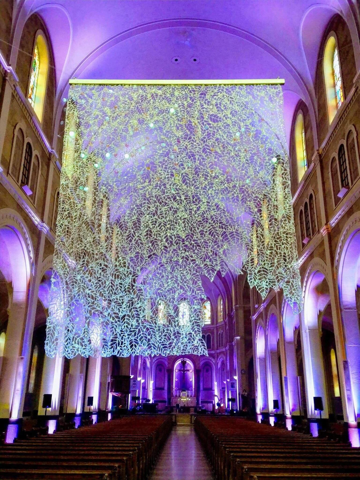 vicky-lentz-where-the-trees-meet-the-stars-the-scales-project