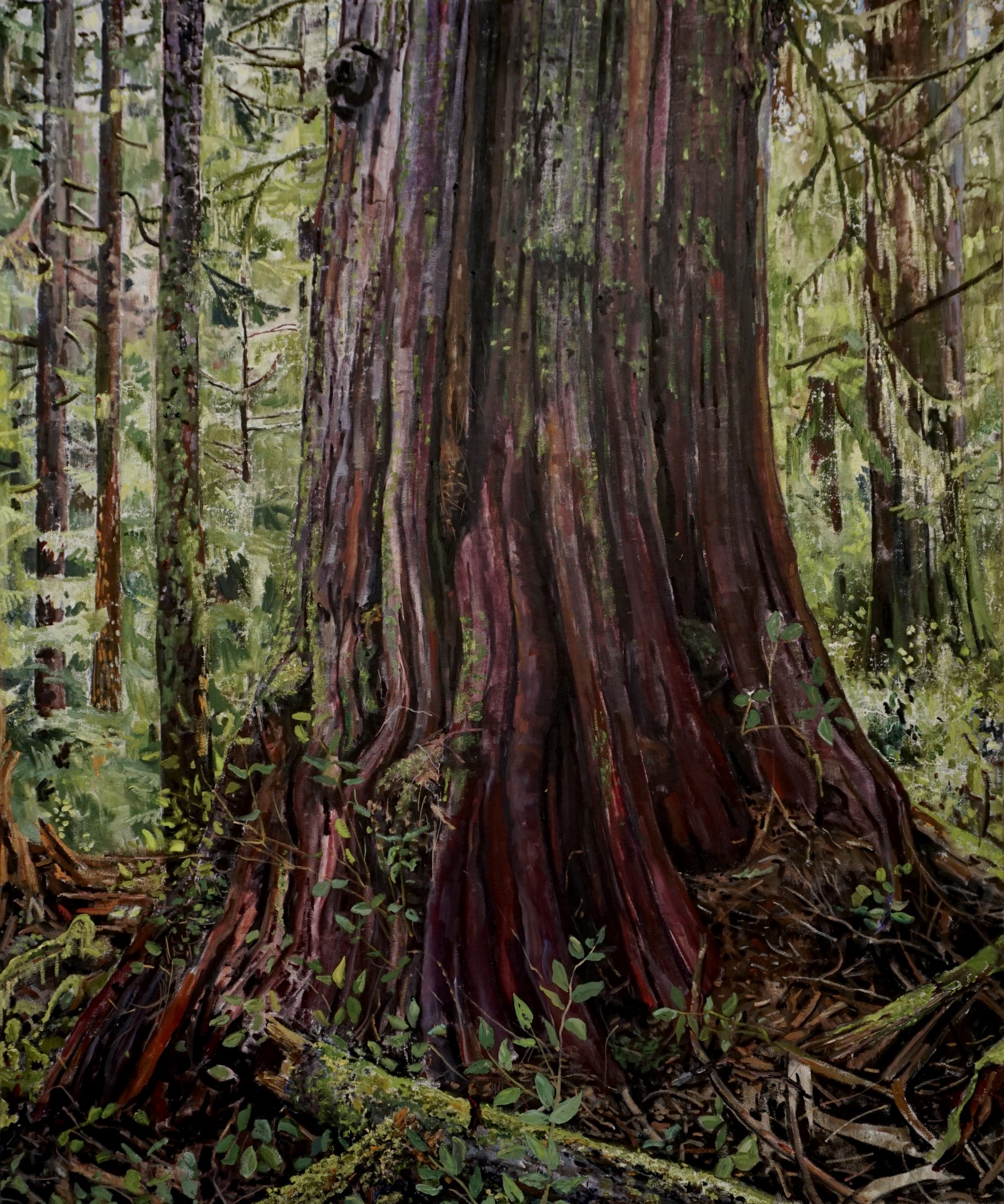 jeremy-herndl-the-black-cedar-the-scales-project